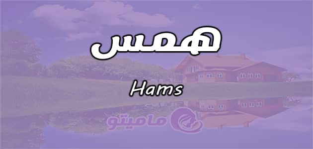 معنى اسم همس