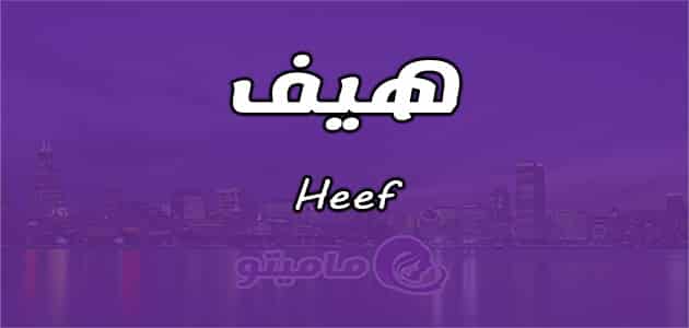 معنى اسم هيف