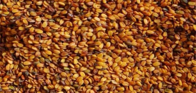وصفات حب الرشاد للشعر الأبيض