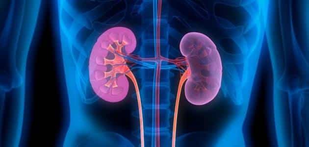 علاج التهاب المسالك البولية المزمن بدون مضادات حيوية