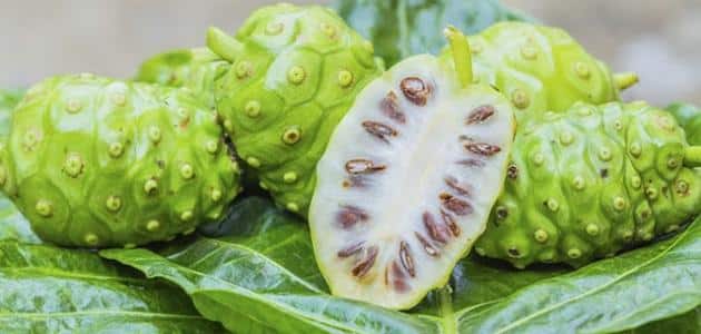 طريقة استخدام فاكهة النوني لعلاج مرضي السرطان