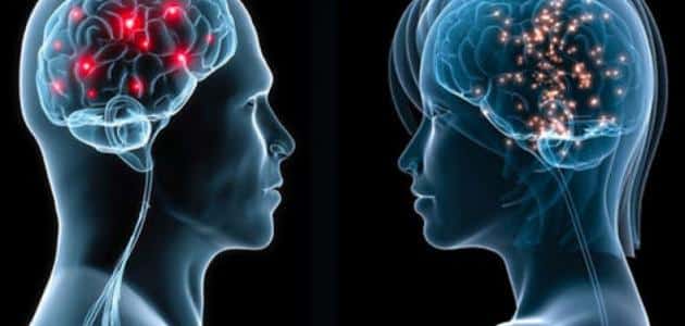 ما الفرق بين الرجل والمرأة في التكوين الجسدي والعاطفي