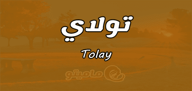 معنى اسم تولاي