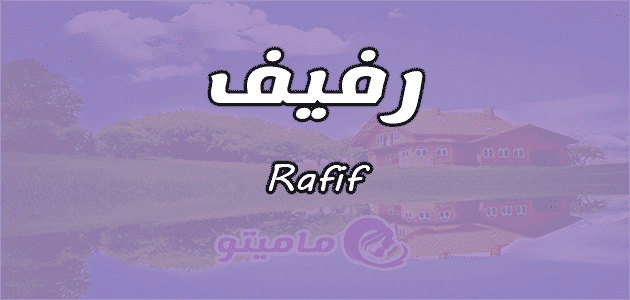 معنى اسم رفيف