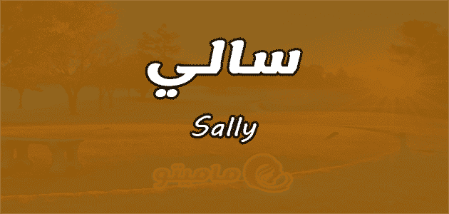 معنى اسم سالي