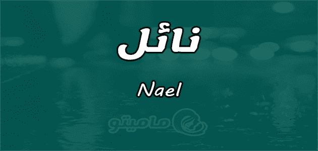معنى اسم نائل