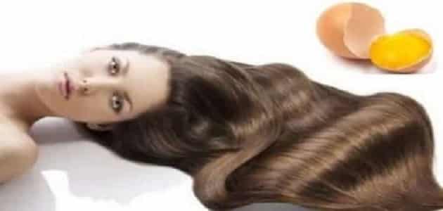 15 خلطة طبيعية بصفار البيض للشعرالخفيف