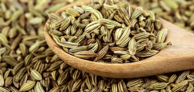 الفرق بين السنوت والينسون من حيث الفائدة العلاجية للجسم