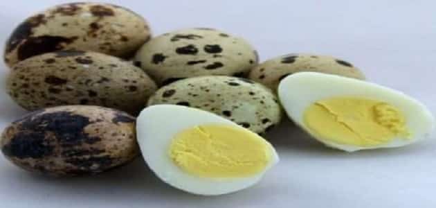 10 فوائد مذهلة لبيض السمان