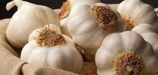 ما الفرق بين الثوم الذكر والثوم العادي في الطبخ؟