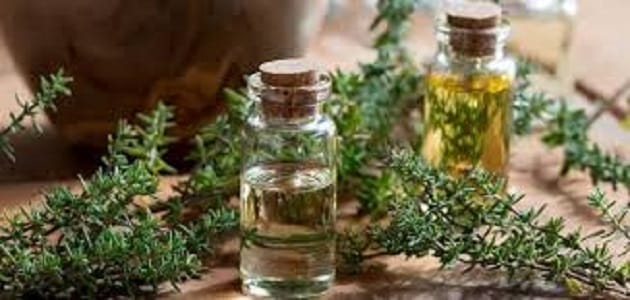 فوائد الزعتر للشعر الخفيف
