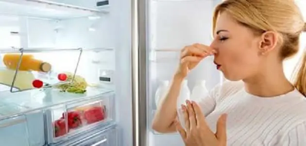 التخلص من رائحة عفن الثلاجة