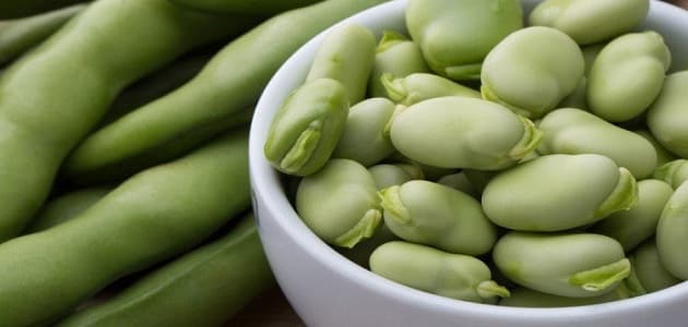 كيفية فرز الفول الأخضر