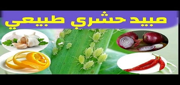 كيفية صنع مبيد حشري طبيعي