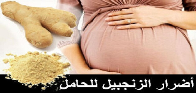 يضر الحامل الزنجبيل هل فوائد واضرار