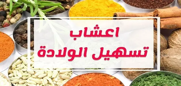 أعشاب لتسهيل الطلق وتسريع الولادة