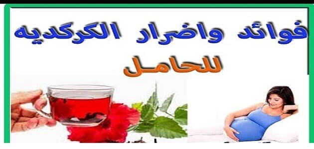 فائدة الكركديه للحمل