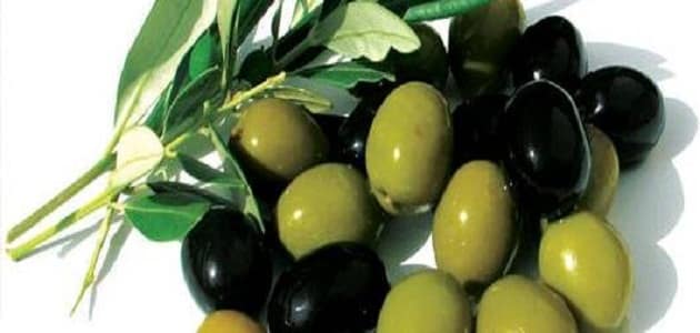 فوائد الزيتون للحامل والجنين