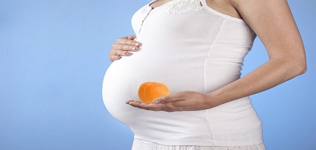 فوائد المشمش والخوخ للحامل