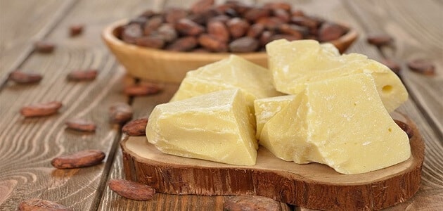 فوائد زبده الكاكاو للحامل