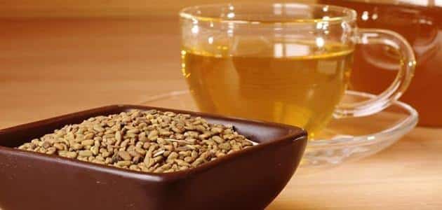فوائد وأضرار الحلبة للرضع