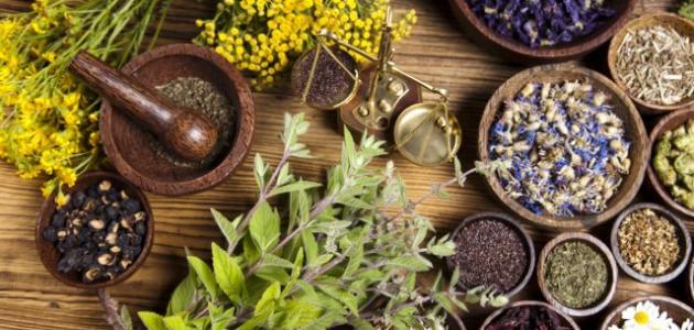 أعشاب لتقوية الذاكرة والذكاء عند الأطفال