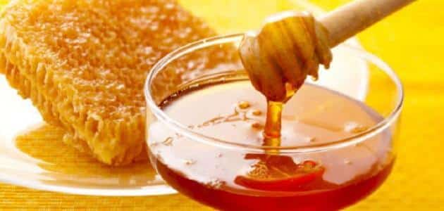 فوائد العسل للاطفال على الريق