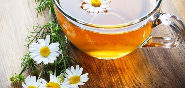 فوائد شاي البابونج للرضع