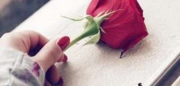 كيف اجعل حبيبي يسامحني على اخطائي