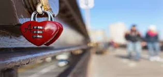 هل الحب قدر أم هو قرار