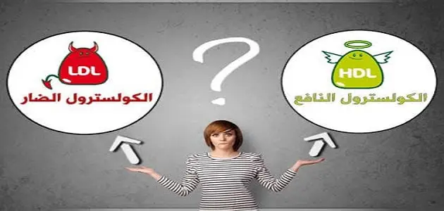 الكوليسترول الضار والنافع