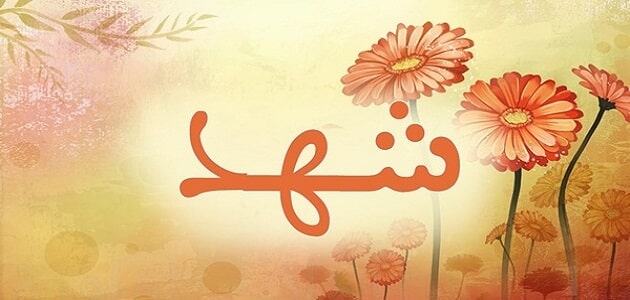 هل ذكر اسم شهد بالقران