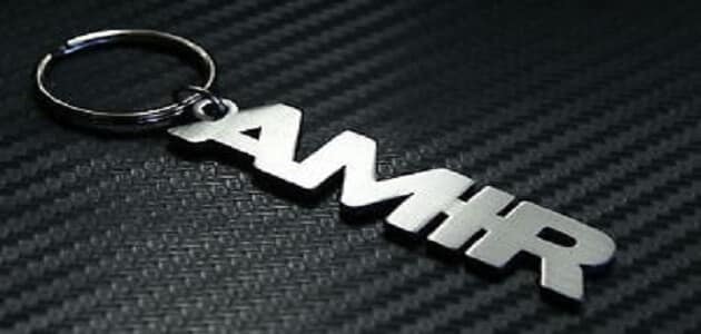 اسم أمير في الكتابة الإنجليزية هو ماميتو