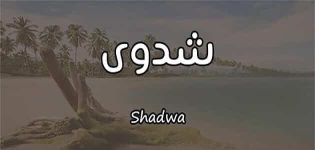 اسم شدوى بالانجليزي مزخرف كتابة