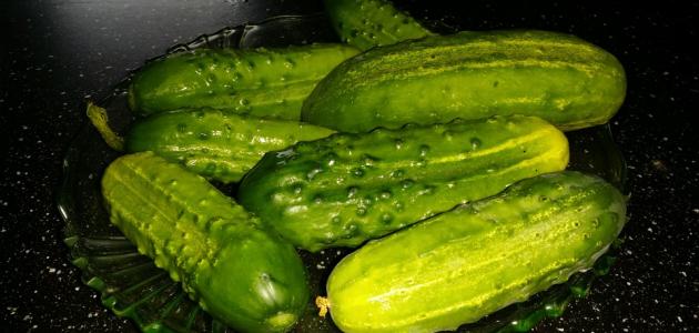 تجربتي مع التمر والخيار لزيادة الوزن