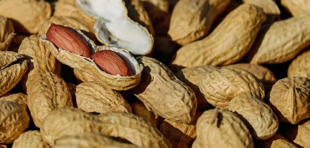 تجربتي مع زبدة الفول السوداني لزيادة الوزن
